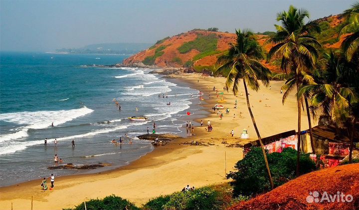 Горящие туры в Индию Гоа