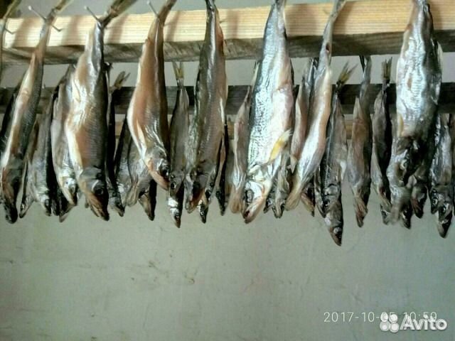 Корюшка вялено-сушенная