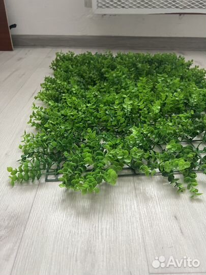 Шефлера панно