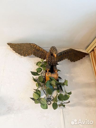 Орел для Сергея