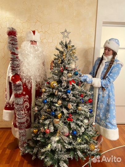 Дед Мороз и Снегурочка, шоу новогодняя сказка