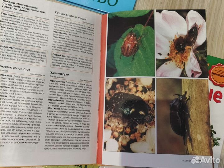 Серия книг Удивительный мир природы