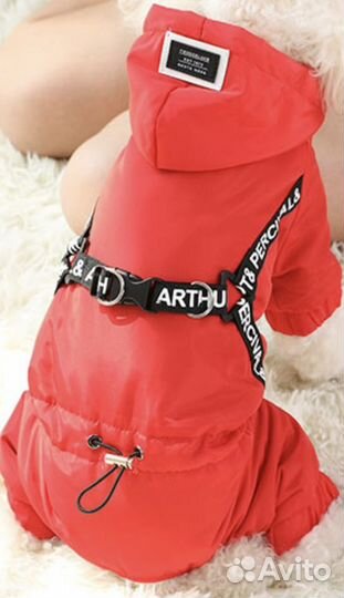 Одежда для маленьких собак