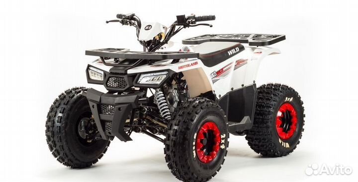 Квадроцикл motoland (мотоленд) 125 wild