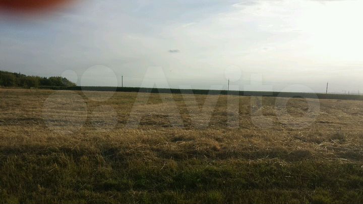 Участок 24 сот. (СНТ, ДНП)