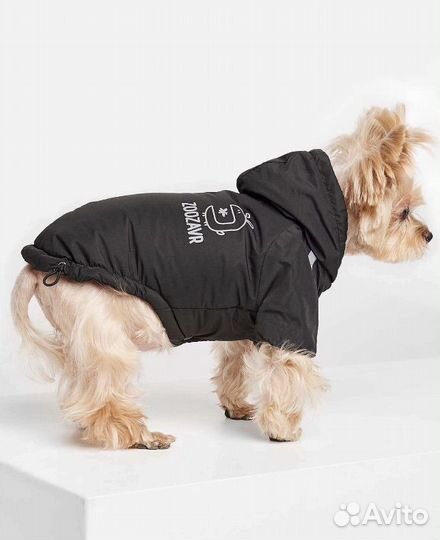 Карточка на собаку