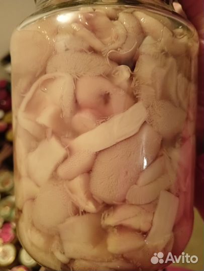 Грибы маринованные белый гриб, польский, опята