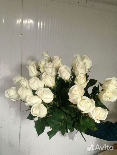 Розы с доставкой, букет роз 101