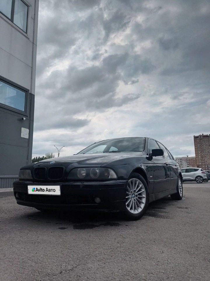 BMW 5 серия: фото владельца