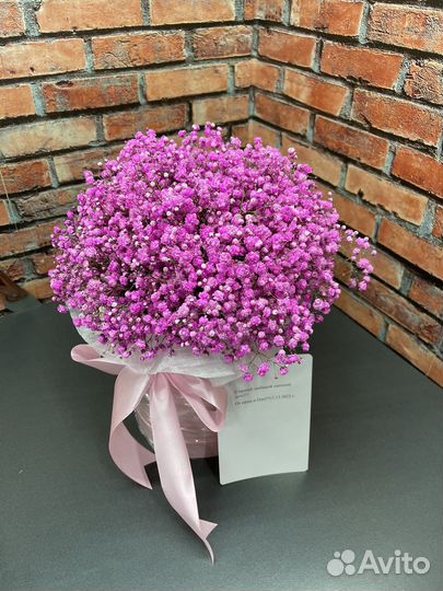 Гипсофила в коробке