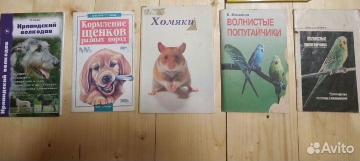 Книги разные бесплатно