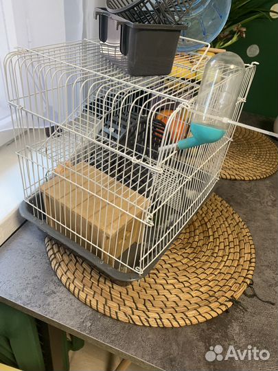 Клетка для грызунов бу