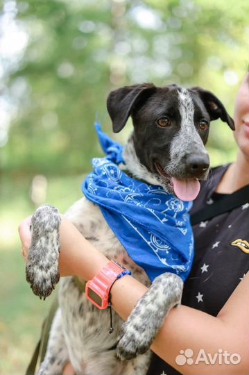 Малыш из приюта ищем дом