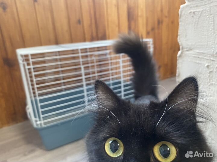 Клетка для грызунов большая