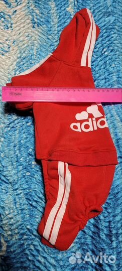 Комбинезон для маленькой собаки