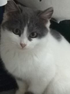 Головные уборы шапки шляпки