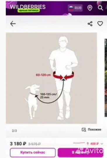 Снаряжение для дрессировки собак