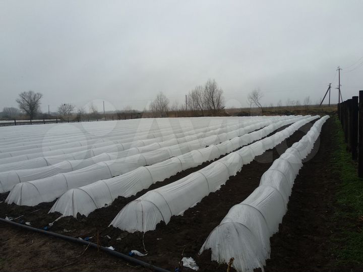 Участок 45 сот. (ИЖС)