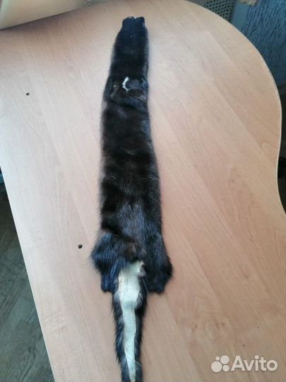 Шкурки норки