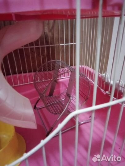 Клетка для грызунов (+корм, + аксессуары)