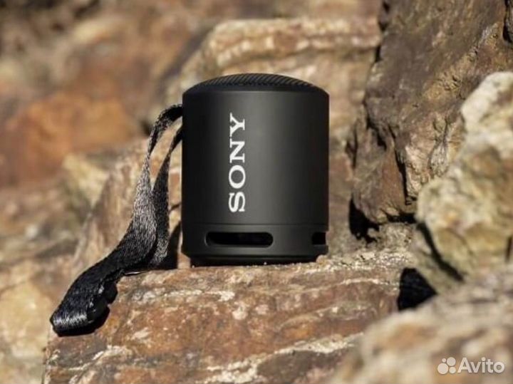 Беспроводная колонка Sony SRS XB13