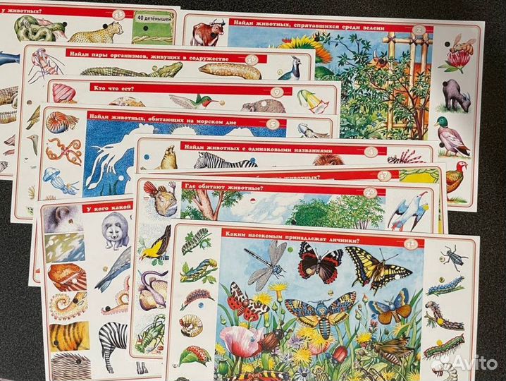 Развивающие игры для детей 5-7-12 лет