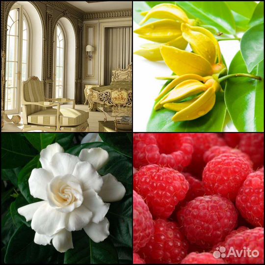 Roja Dove 51 духи и парфюм распив