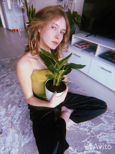Флорист