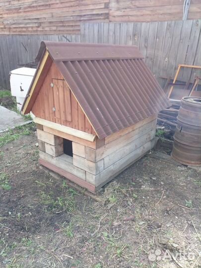 Собачья будка