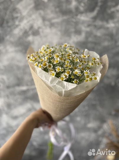 Букет ромашки, букет комплимент