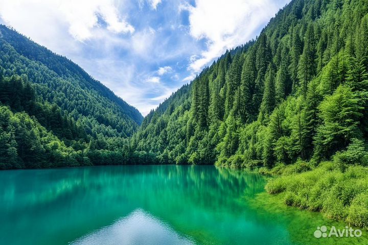 Экскурсионная поездка в Абхазию Золотое Кольцуо