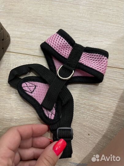 Шлейка для щенка, спрей для приучения к лотку