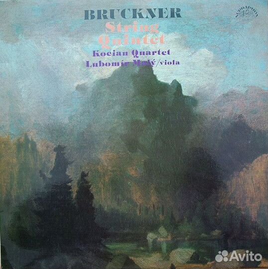 Пластинка Bruckner - String Quintet Lubomir Maly