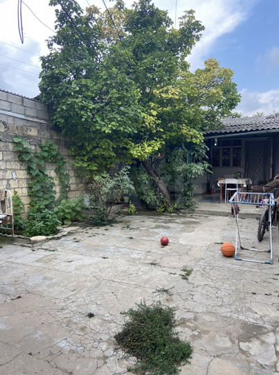 Дом 50 м² на участке 1,59 га