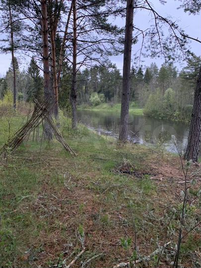 Участок 55 сот. (ИЖС)