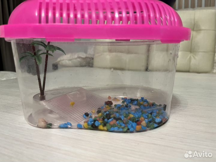 Аквариум для маленьких черепах