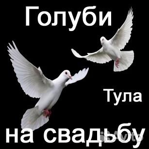Белые голуби на свадьбу, на любое торжество
