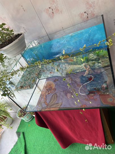 Продаю черепашник