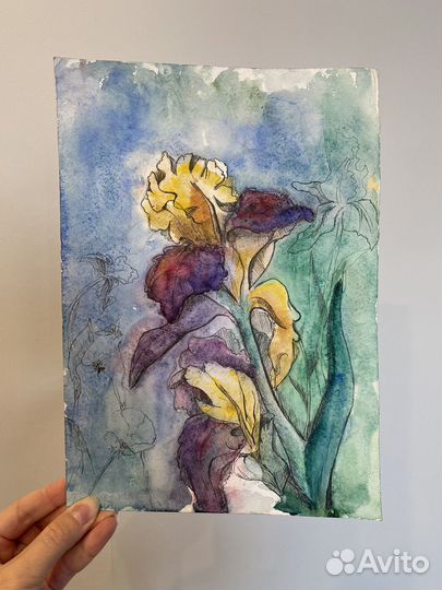 Картины Ирисы