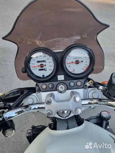 Honda hornet 600