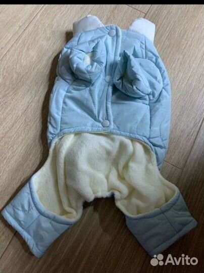 Одежда для собак