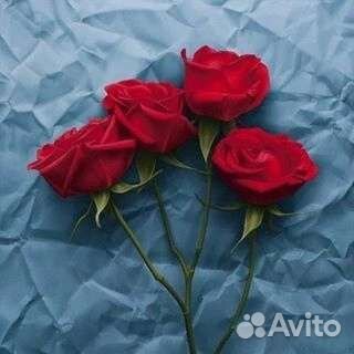 Цветы розы букет