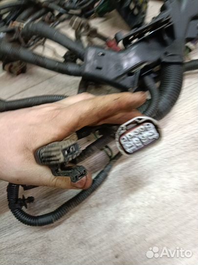 Коса моторная Ford Fusion I рестайлинг (2005—2012)