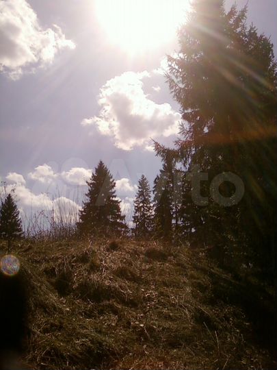 Участок 2,77 га (ИЖС)