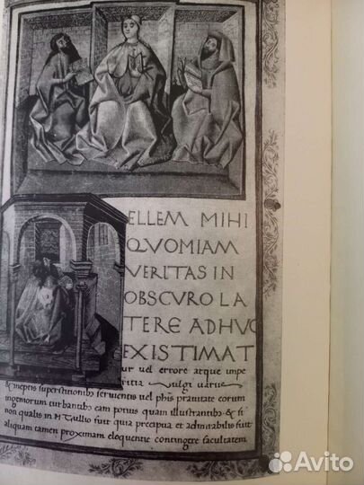 Средневековая латинская литература Италии