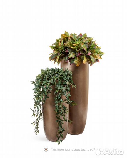 Растения. Деревья. Премиум кашпо, от