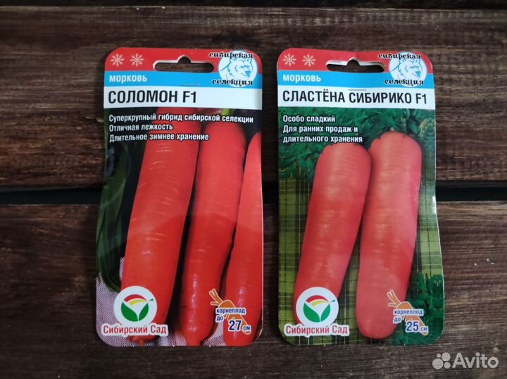 Семена Моркови