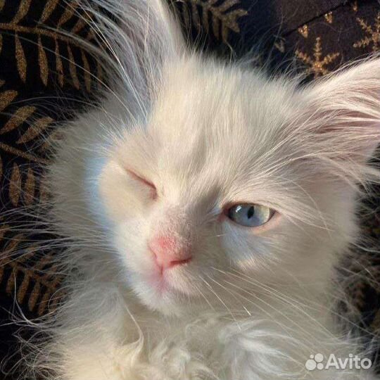 Очищение монет