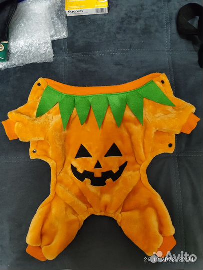 Одежда для животных