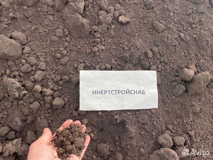 Чернозем